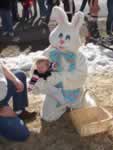 'I Hate this Rabbit'